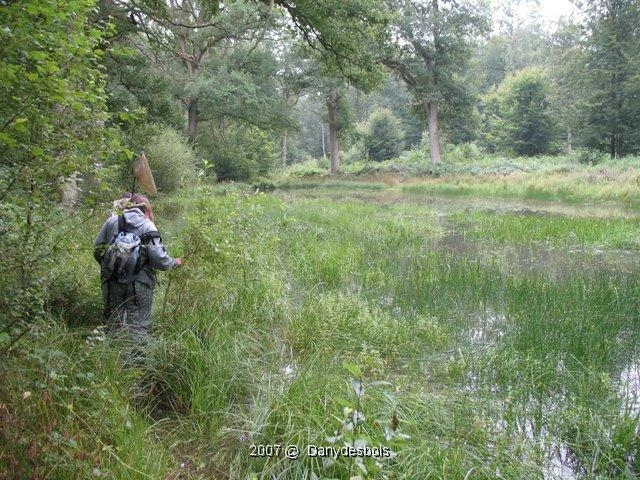 2007 08 Mare aux canes 09